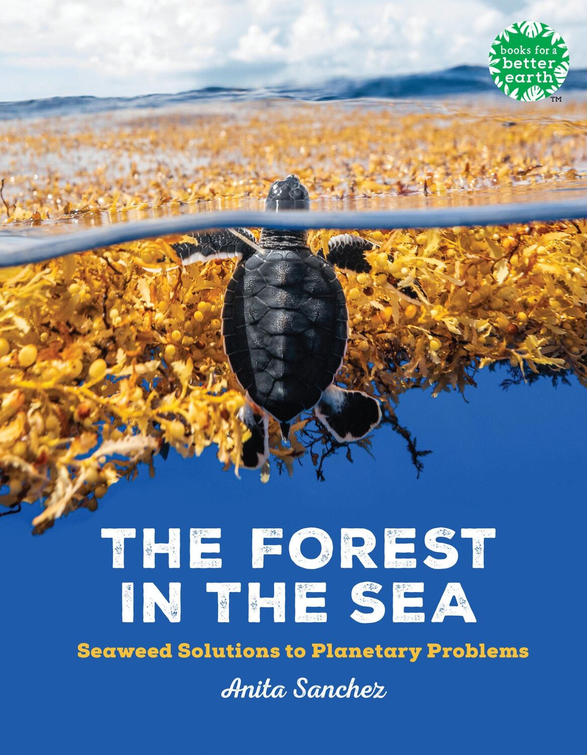 Cover: 9780823458769 | The Forest in the Sea | Seaweed Solutions to Planetary Problems | Buch