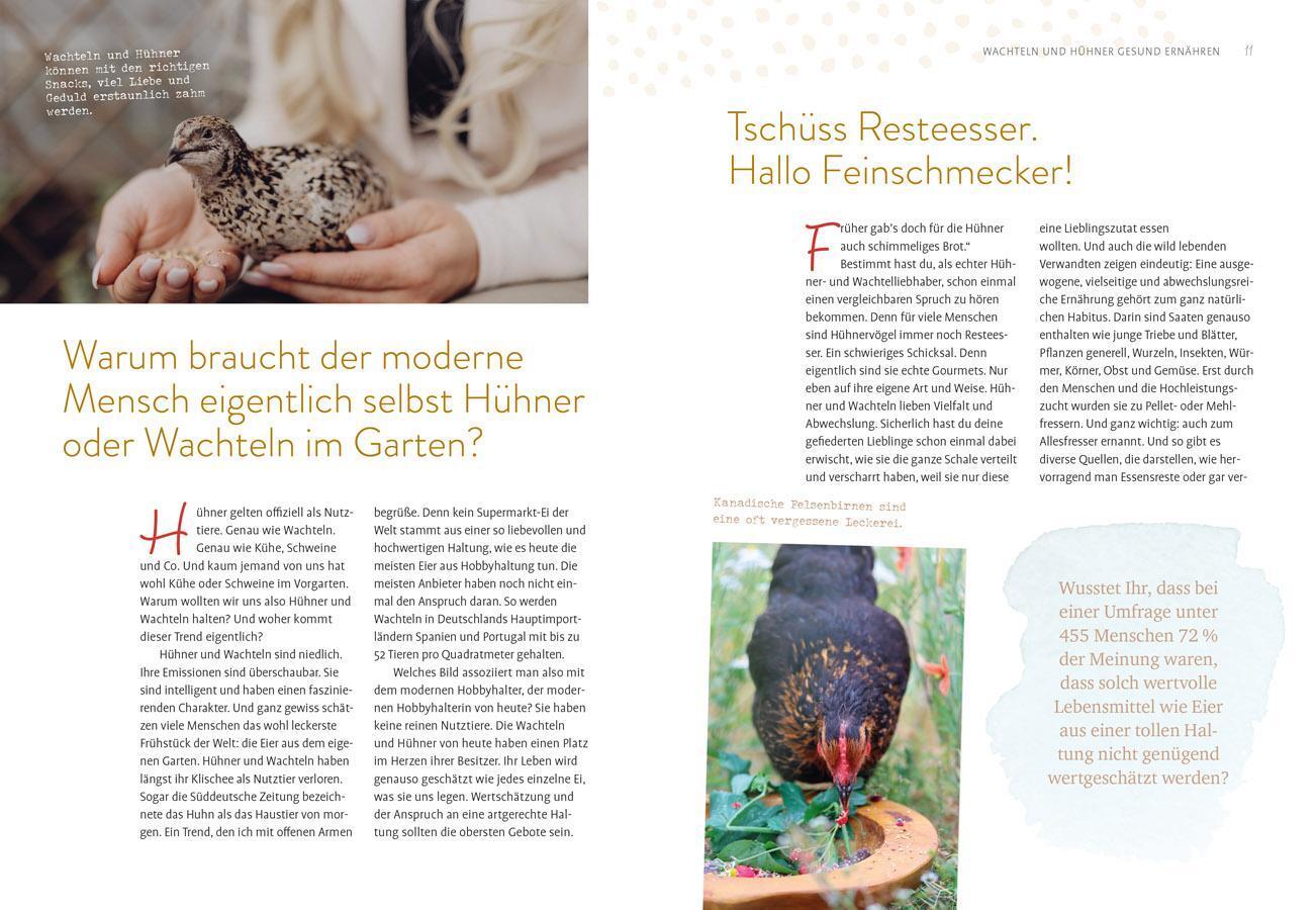 Bild: 9783818620820 | Was sucht das Huhn im Kräuterbeet? | Anne Baresch | Taschenbuch | 2024