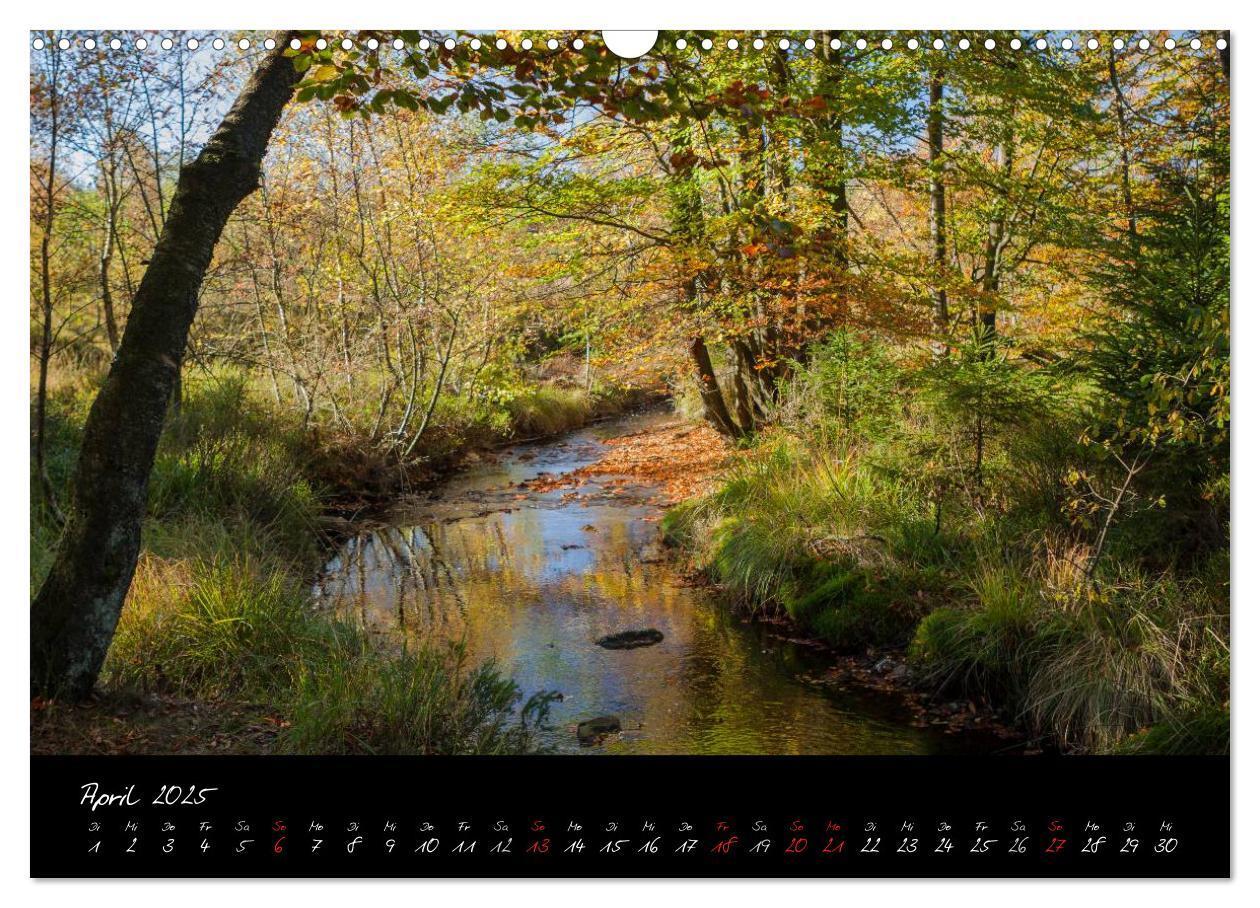 Bild: 9783435518722 | Hochmoor Hohes Venn (Wandkalender 2025 DIN A3 quer), CALVENDO...