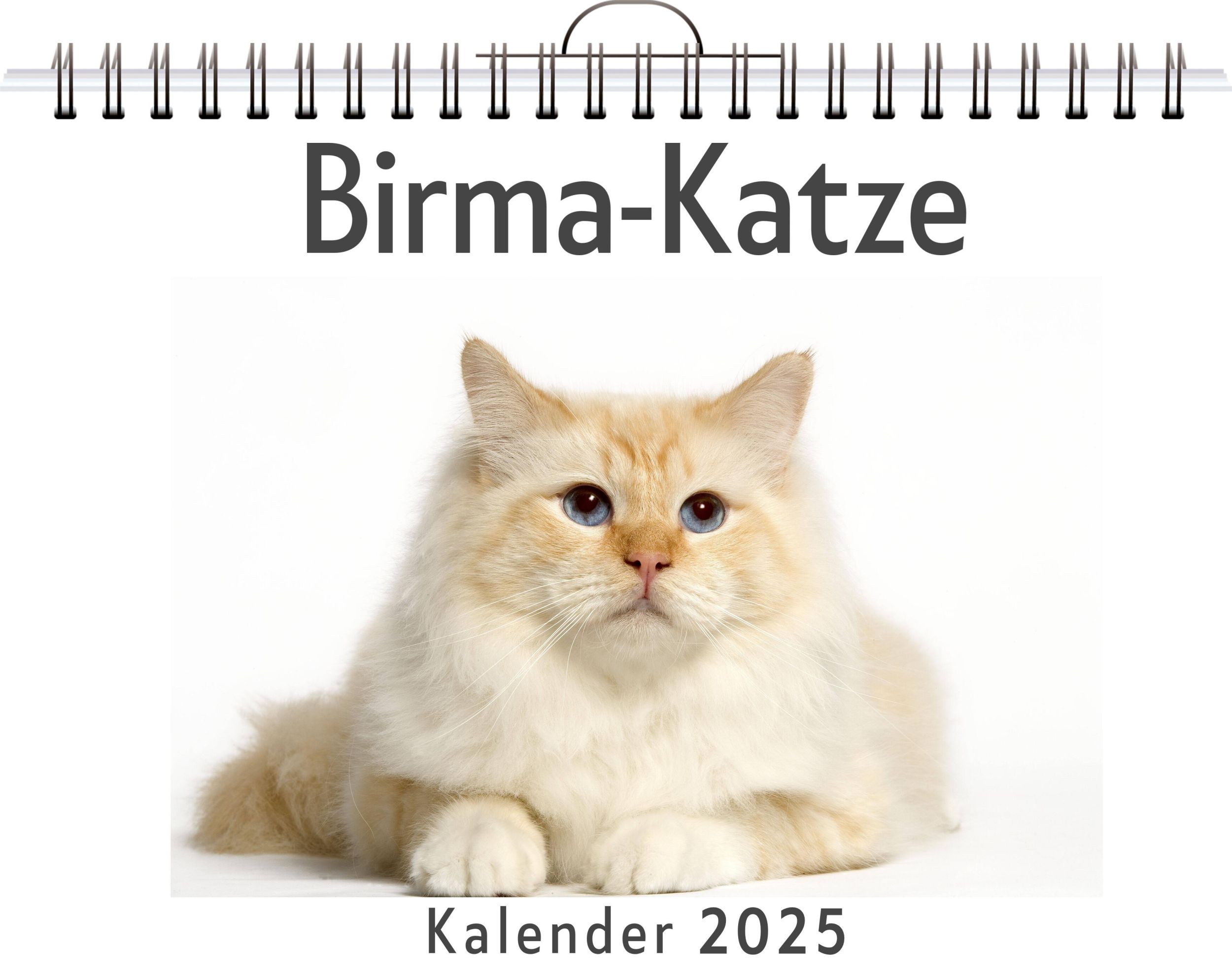 Cover: 9783759120403 | Birma-Katze | Marie Schröder | Kalender | Kalender | 14 S. | Deutsch