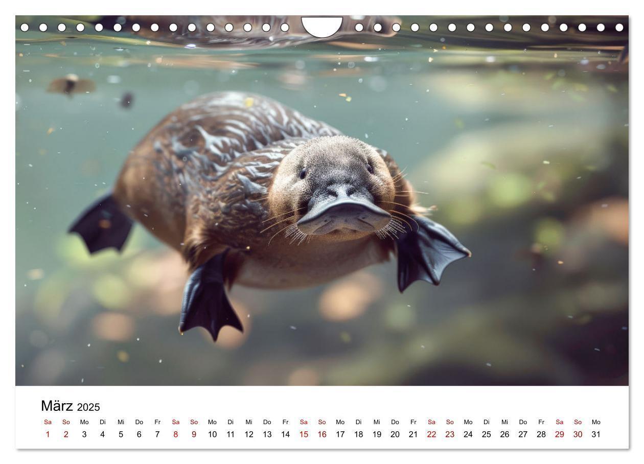 Bild: 9783383800641 | Wildes Down Under: Tiere des Australischen Kontinents (Wandkalender...