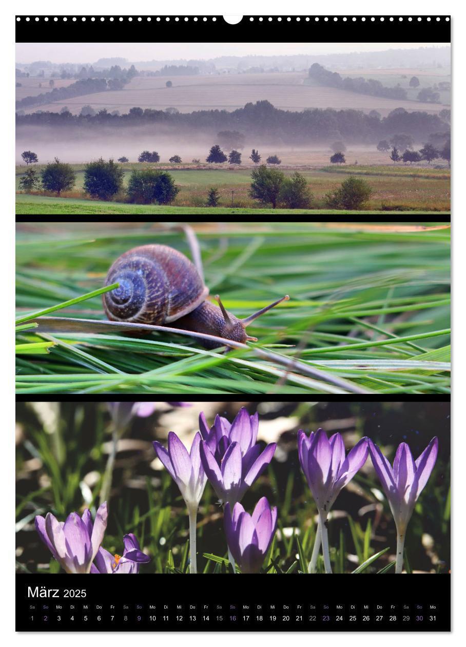 Bild: 9783435904112 | Bezaubernde Farben der Natur (hochwertiger Premium Wandkalender...