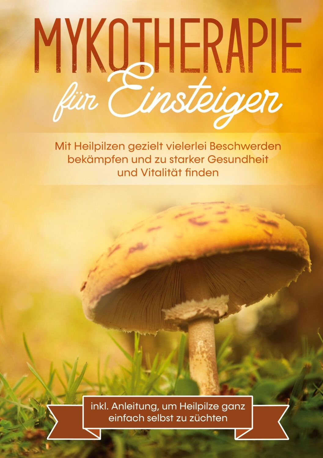 Cover: 9783753423586 | Mykotherapie für Einsteiger: Mit Heilpilzen gezielt vielerlei...