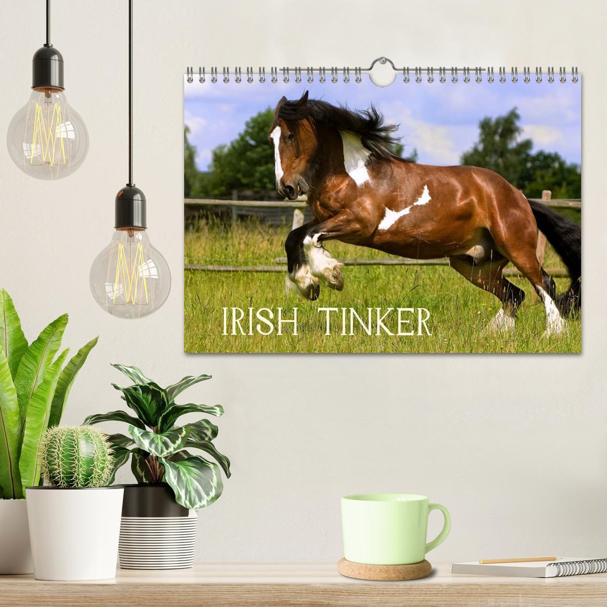 Bild: 9783435748112 | Irish Tinker (Wandkalender 2025 DIN A4 quer), CALVENDO Monatskalender