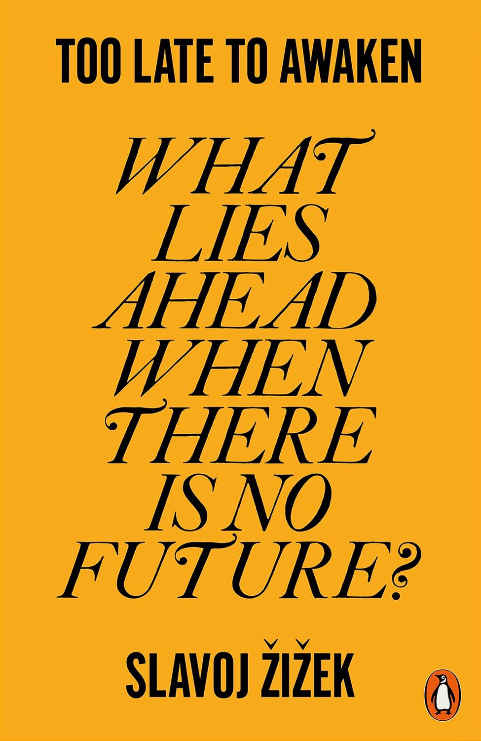 Cover: 9781802063677 | Too Late to Awaken | What Lies Ahead When There is No Future? | Zizek