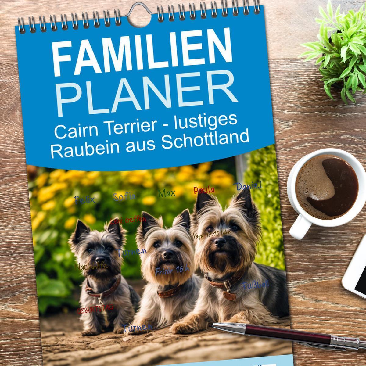 Bild: 9783457193105 | Familienplaner 2025 - Cairn Terrier - lustiges Raubein aus...