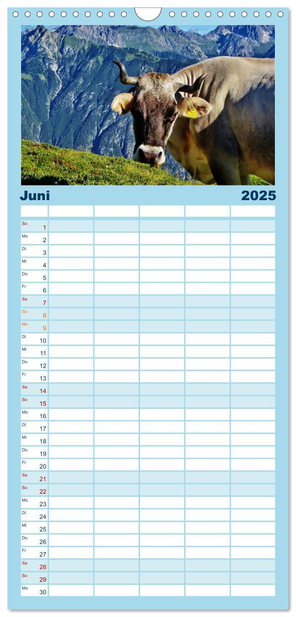 Bild: 9783457113561 | Familienplaner 2025 - Alpenüberquerung mit 5 Spalten (Wandkalender,...