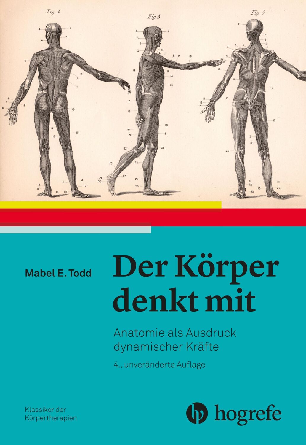 Cover: 9783456858159 | Der Körper denkt mit | Anatomie als Ausdruck dynamischer Kräfte | Todd