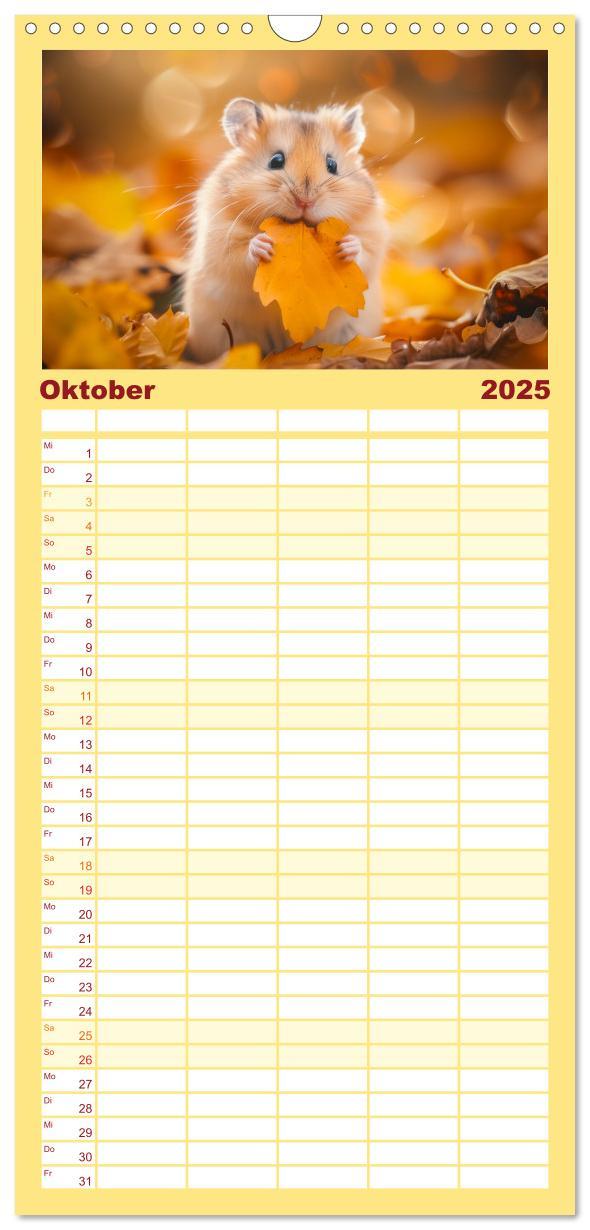 Bild: 9783457193341 | Familienplaner 2025 - Lustige Hamster mit 5 Spalten (Wandkalender,...