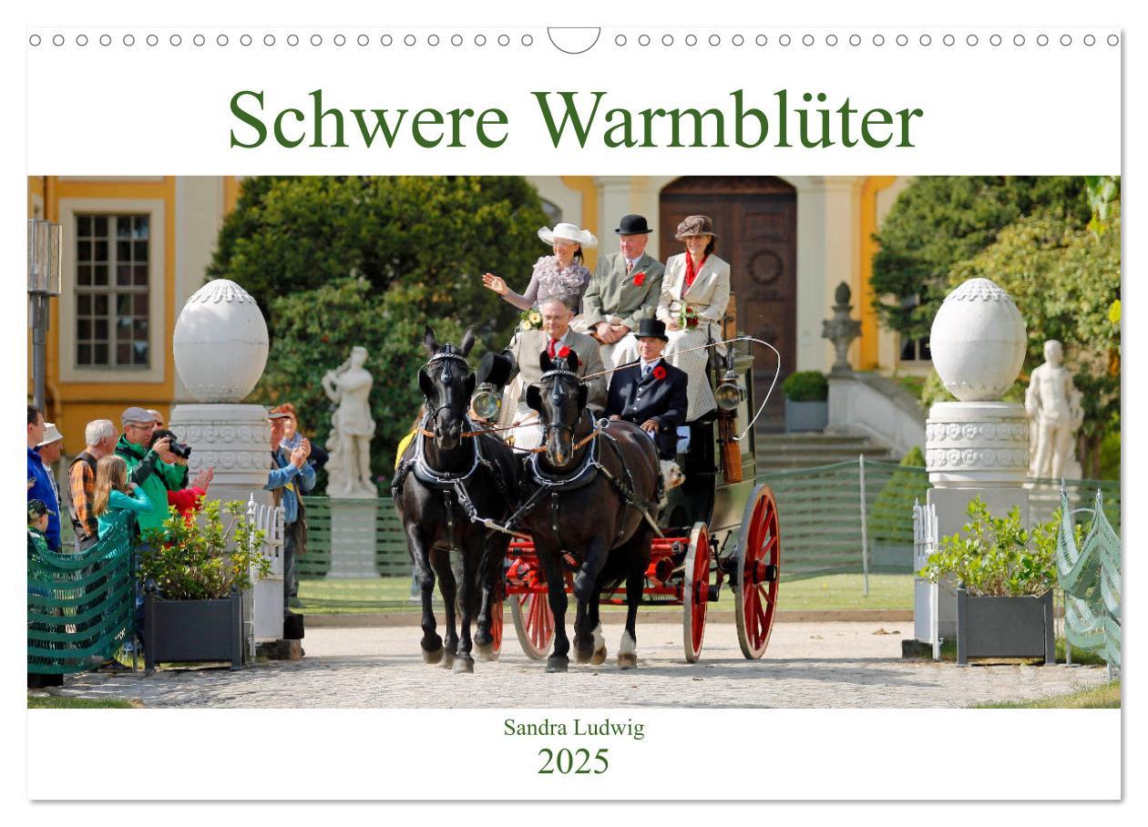 Cover: 9783435395187 | Schwere Warmblüter 2025 (Wandkalender 2025 DIN A3 quer), CALVENDO...