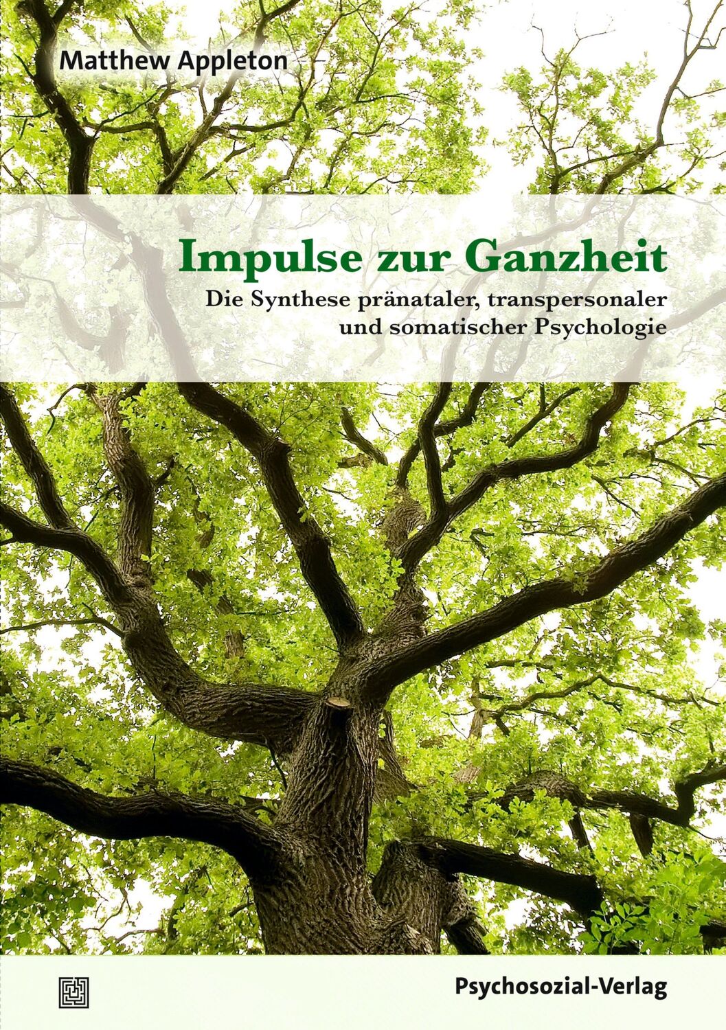 Cover: 9783837933437 | Impulse zur Ganzheit | Matthew Appleton | Taschenbuch | 430 S. | 2024