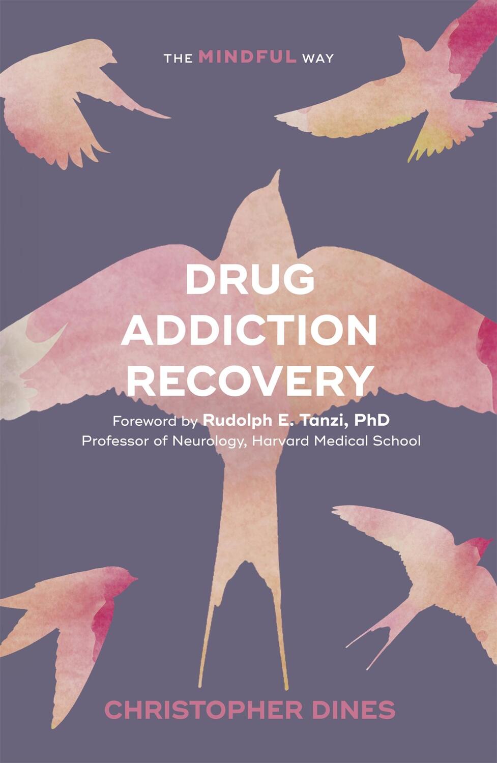 Cover: 9781847094940 | Drug Addiction Recovery | The Mindful Way | Christopher Dines | Buch