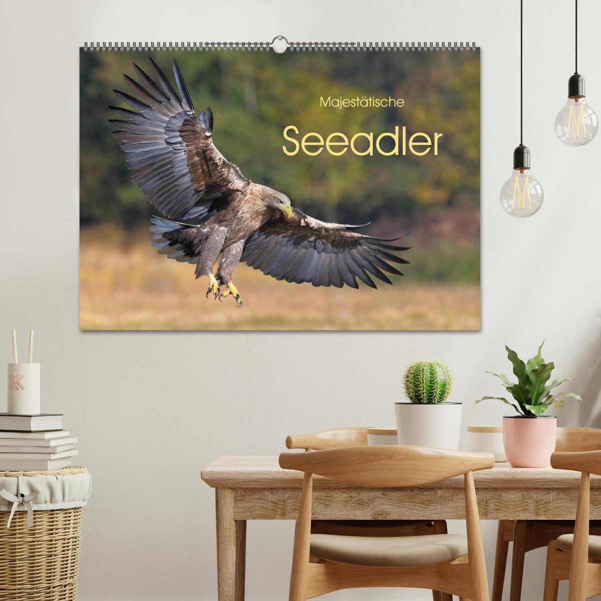 Bild: 9783435230105 | Majestätische Seeadler (Wandkalender 2025 DIN A2 quer), CALVENDO...