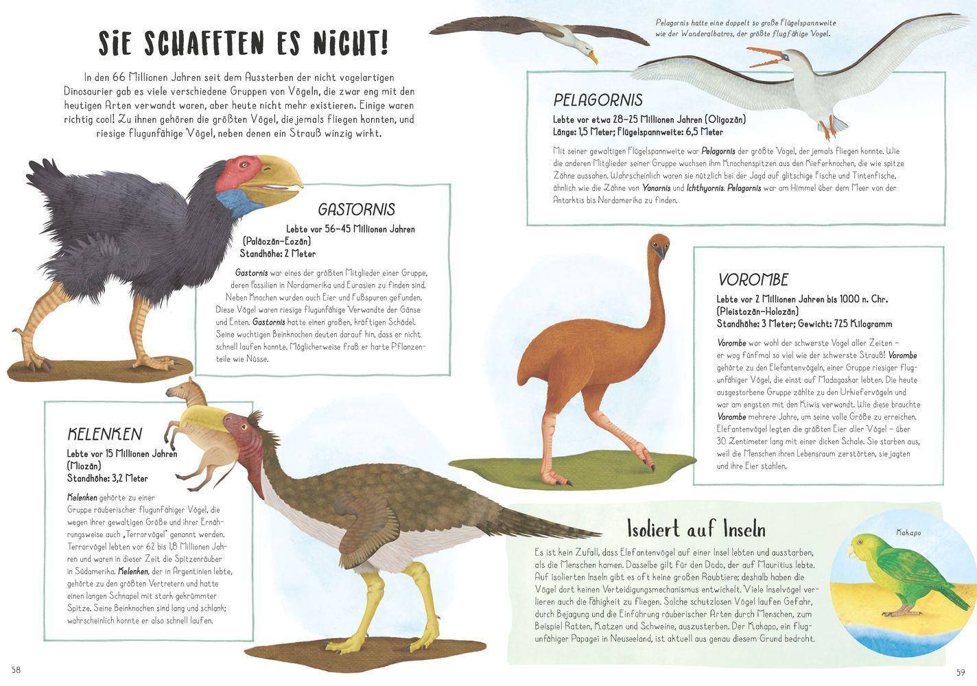 Bild: 9783957287519 | Vom Tyrannosaurus zum Huhn | Die unglaubliche Evolution der Vögel