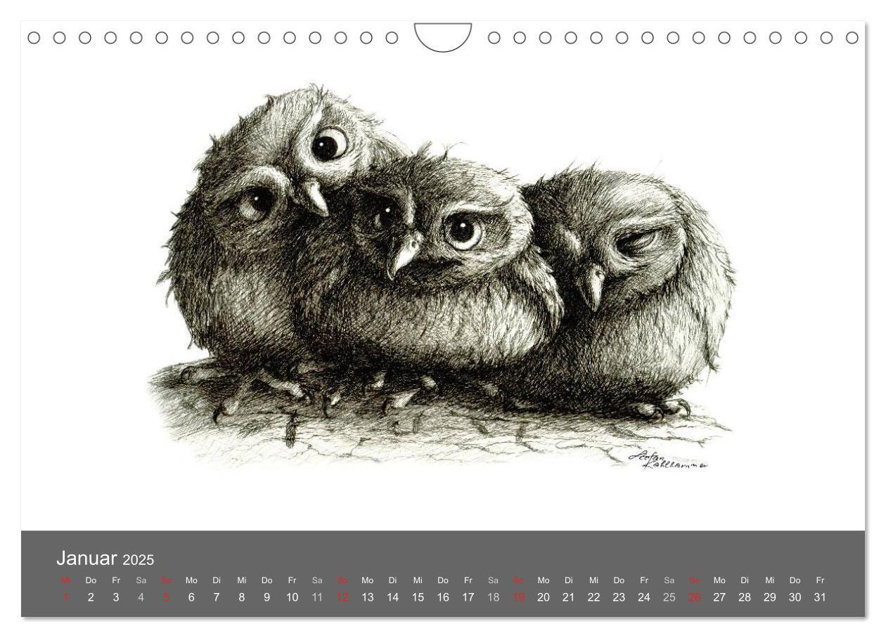 Bild: 9783435825158 | owls &amp; friends 2025 (Wandkalender 2025 DIN A4 quer), CALVENDO...