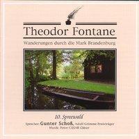 Cover: 9783934384101 | Spreewald, 1 Audio-CD | Spreewald. Lesung | Theodor Fontane | CD