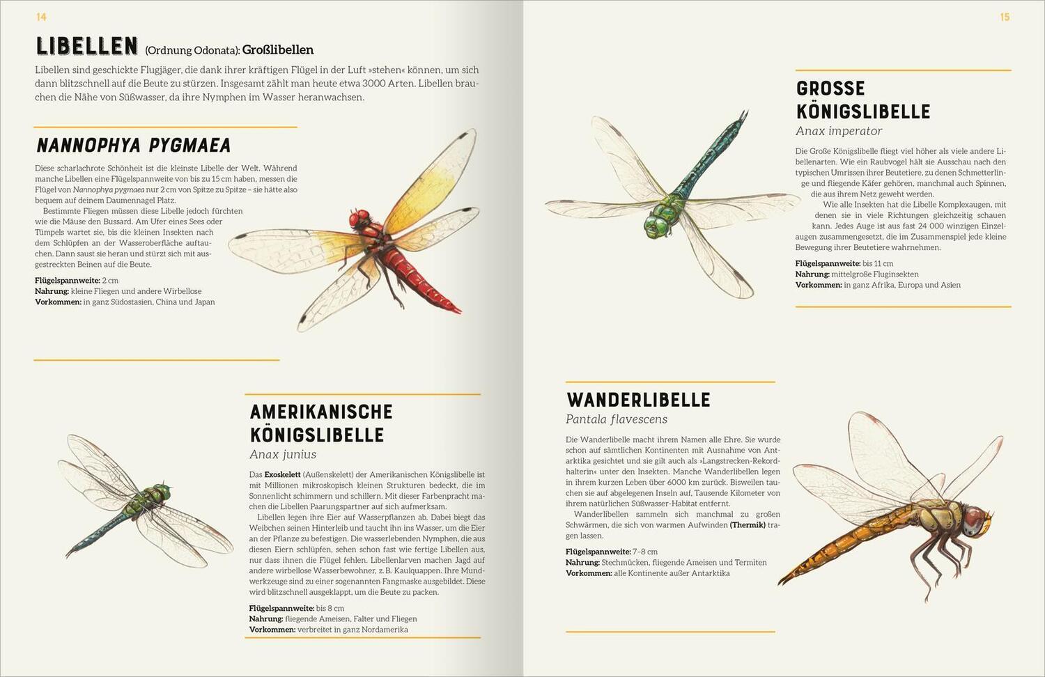 Bild: 9783845857534 | Das große Lexikon der Insekten | Jules Howard | Buch | 160 S. | 2024