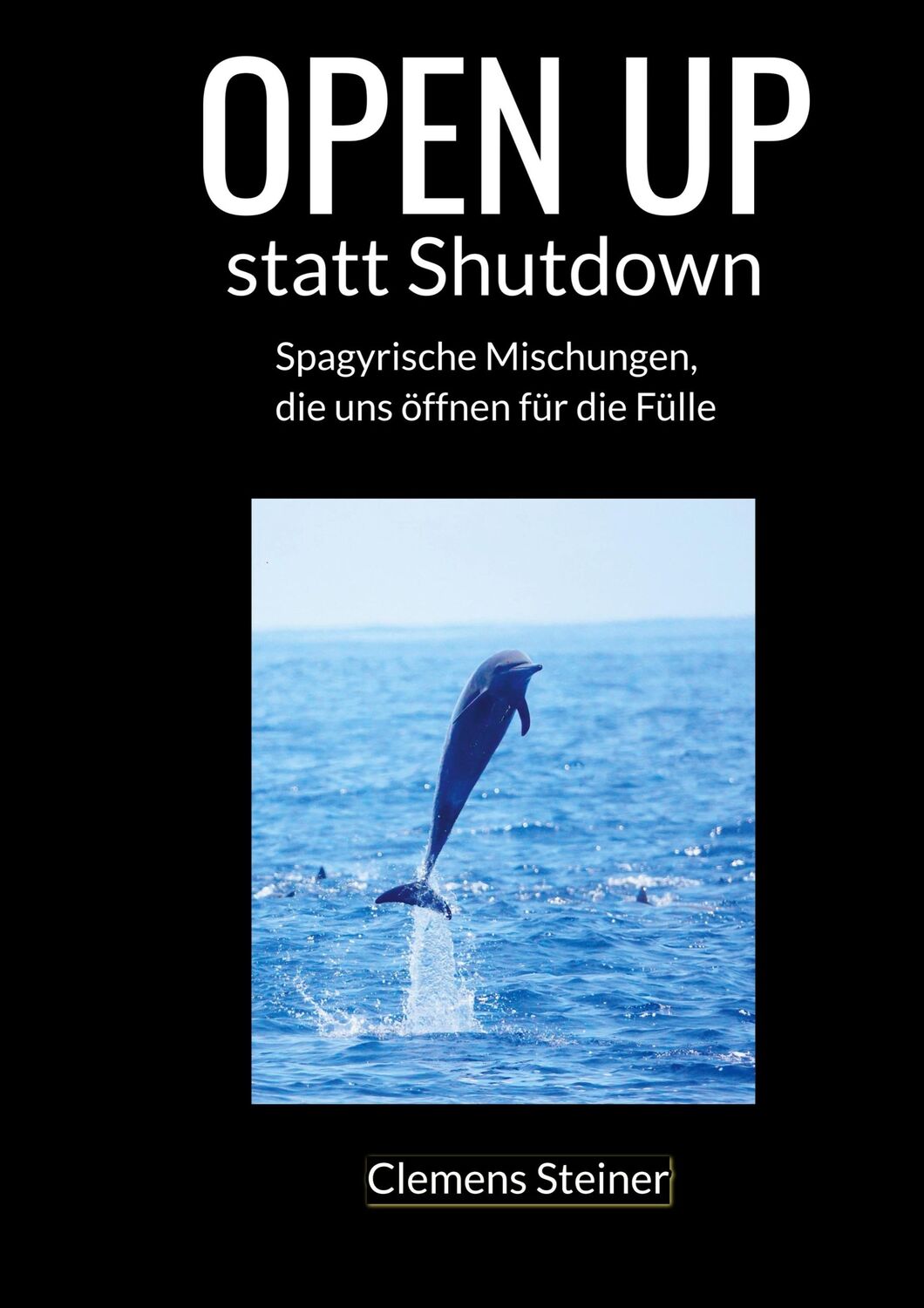 Cover: 9783751937146 | OPEN UP statt Shutdown | Clemens Steiner | Taschenbuch | Paperback