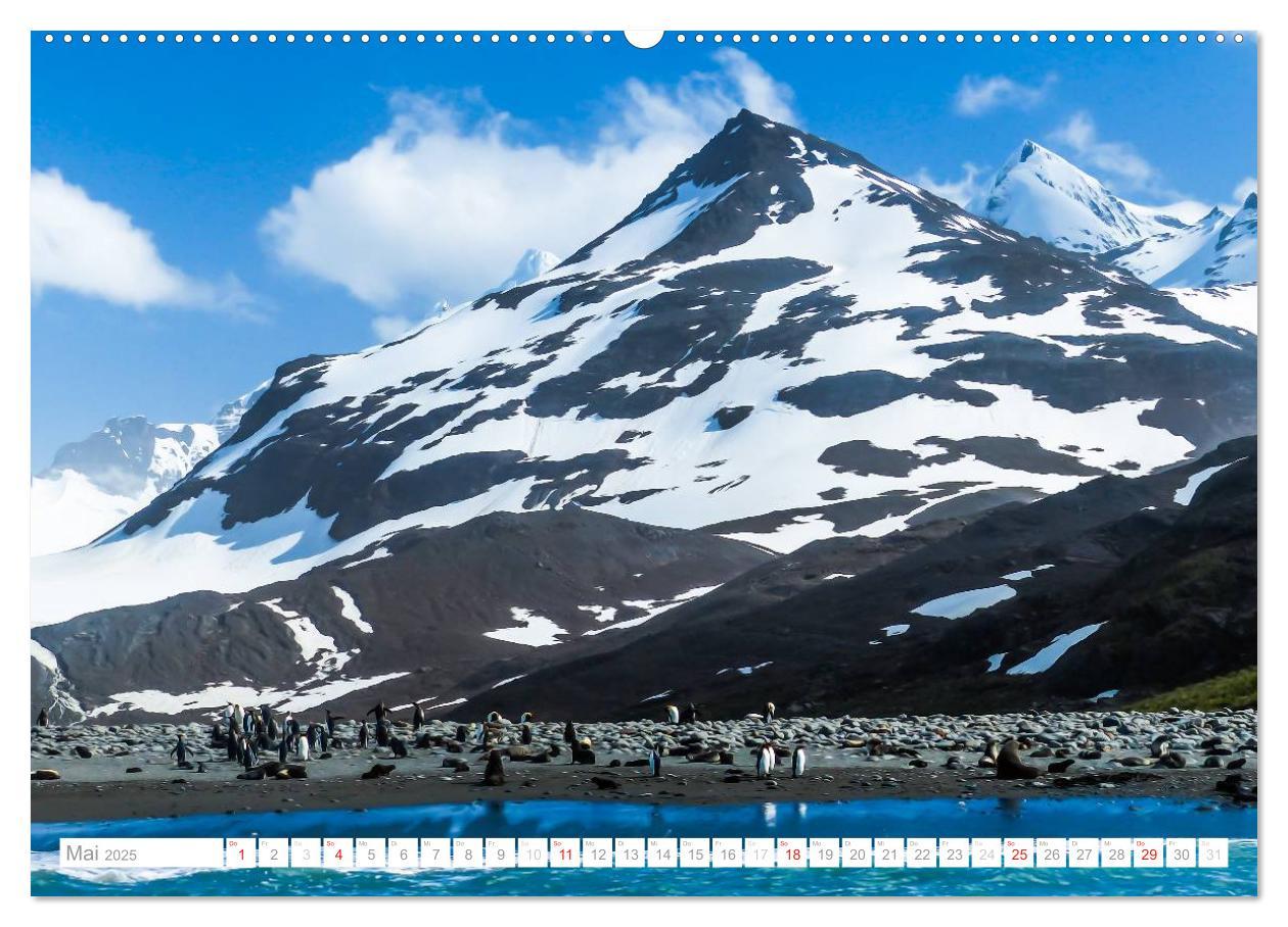 Bild: 9783435801572 | Antarktis - Das Reich der Pinguine (Wandkalender 2025 DIN A2 quer),...