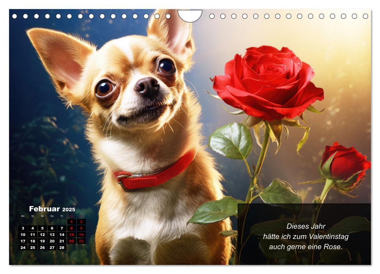 Bild: 9783457129388 | Lustige Chihuahua-Momente (Wandkalender 2025 DIN A4 quer), CALVENDO...