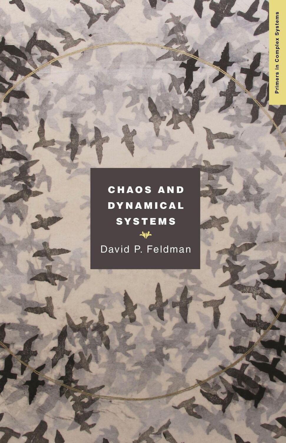 Cover: 9780691161525 | Chaos and Dynamical Systems | David P. Feldman | Taschenbuch | 2019