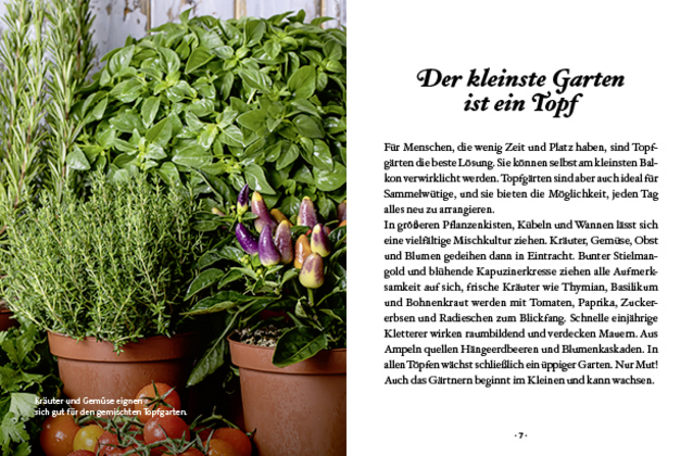 Bild: 9783710402081 | Das kleine Buch: Topfgärtner | Der eigene Garten auf kleinem Raum