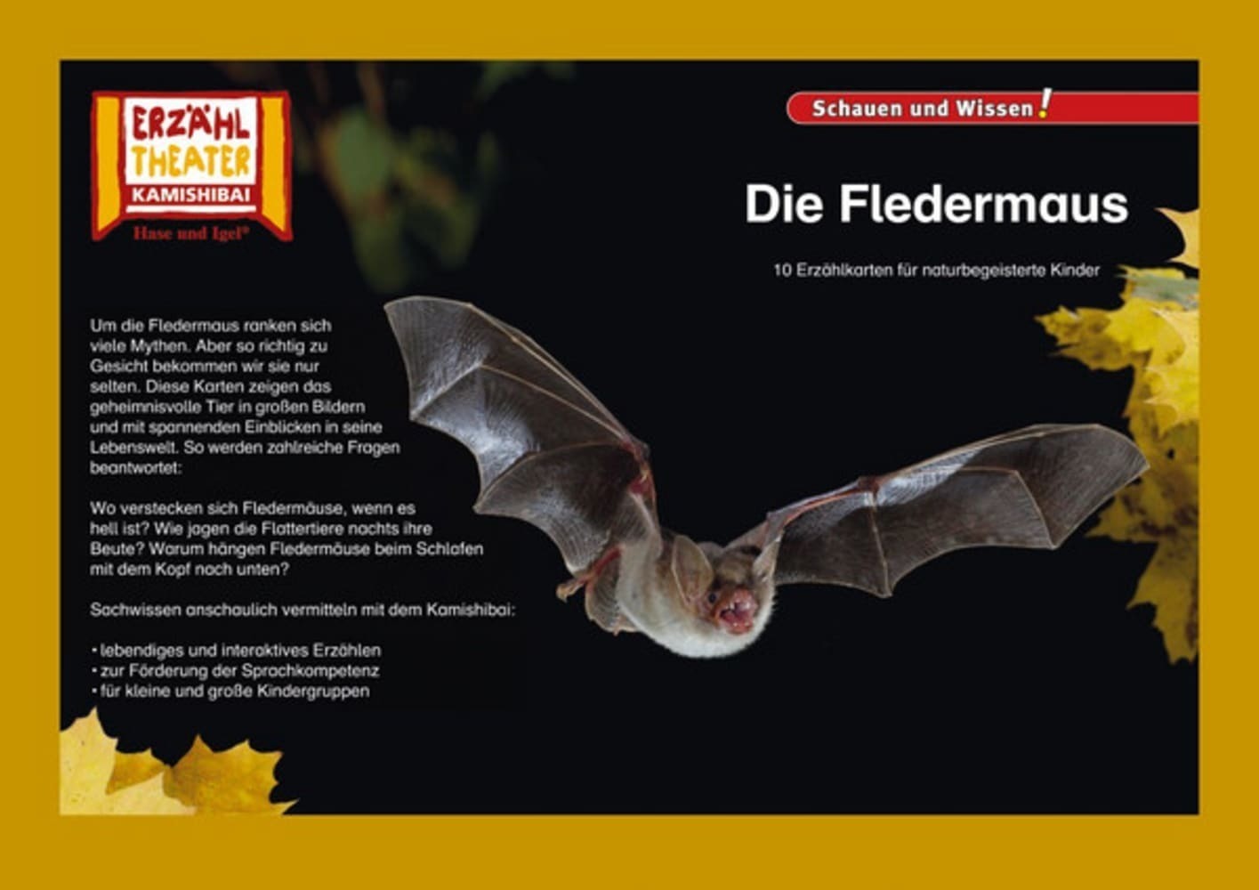 Cover: 4260505830762 | Die Fledermaus / Kamishibai Bildkarten | Box | 10 S. | Deutsch | 2018