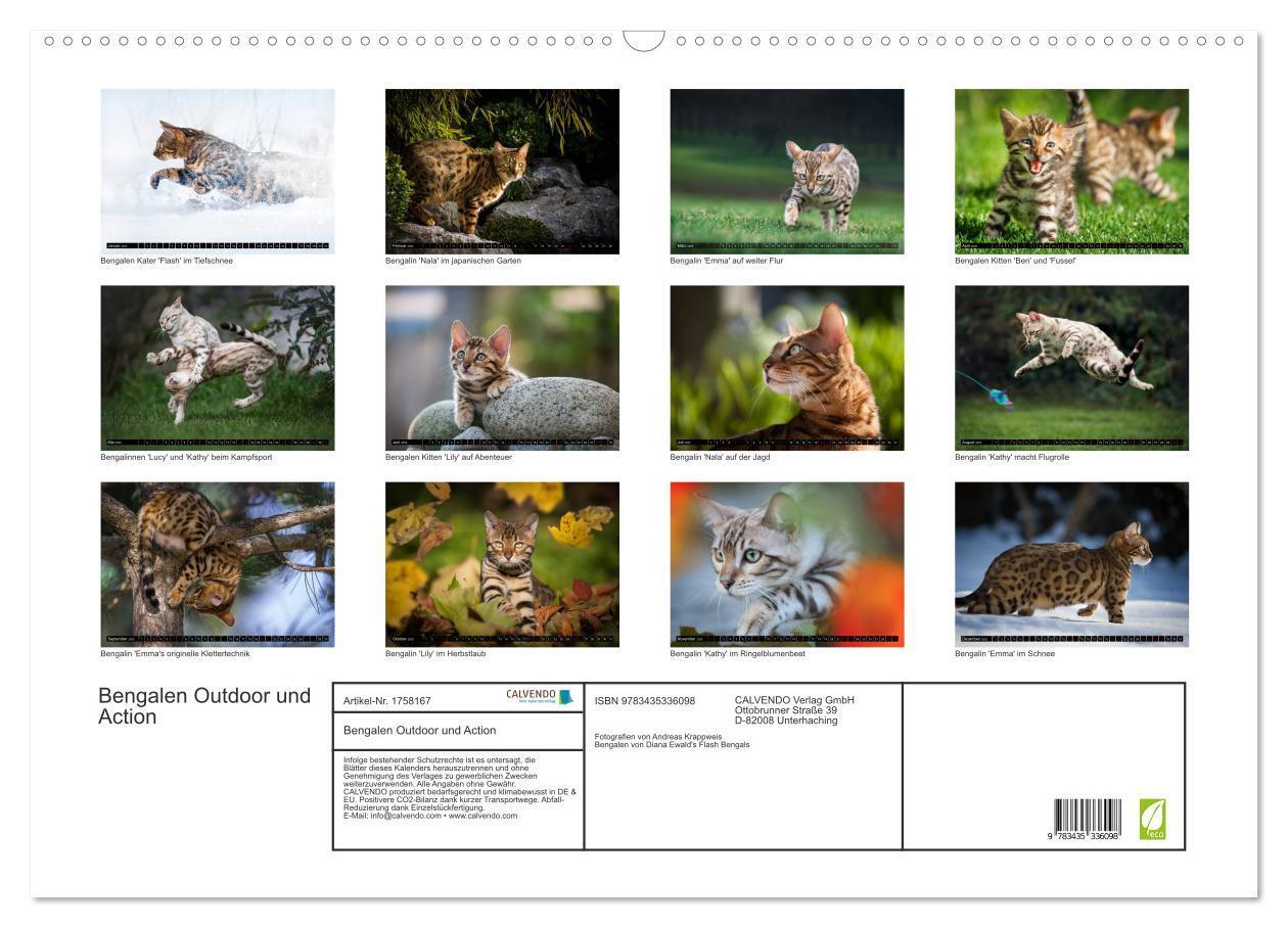 Bild: 9783435336098 | Bengalen Outdoor und Action (Wandkalender 2025 DIN A2 quer),...