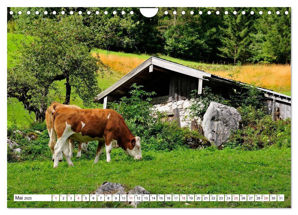 Bild: 9783435475209 | Mein Werdenfelser Land (Wandkalender 2025 DIN A4 quer), CALVENDO...