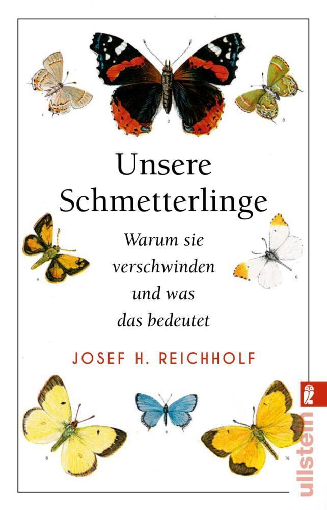 Cover: 9783548060538 | Unsere Schmetterlinge | Warum sie verschwinden und was das bedeutet