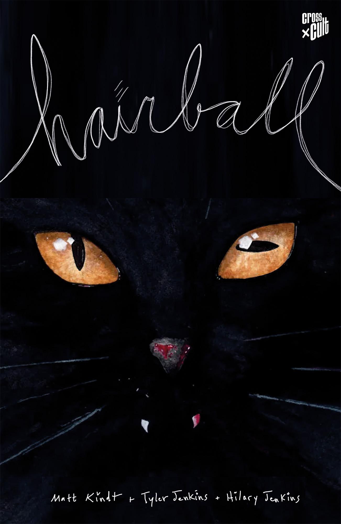 Cover: 9783986666781 | Hairball | Matt Kindt | Taschenbuch | 152 S. | Deutsch | 2025