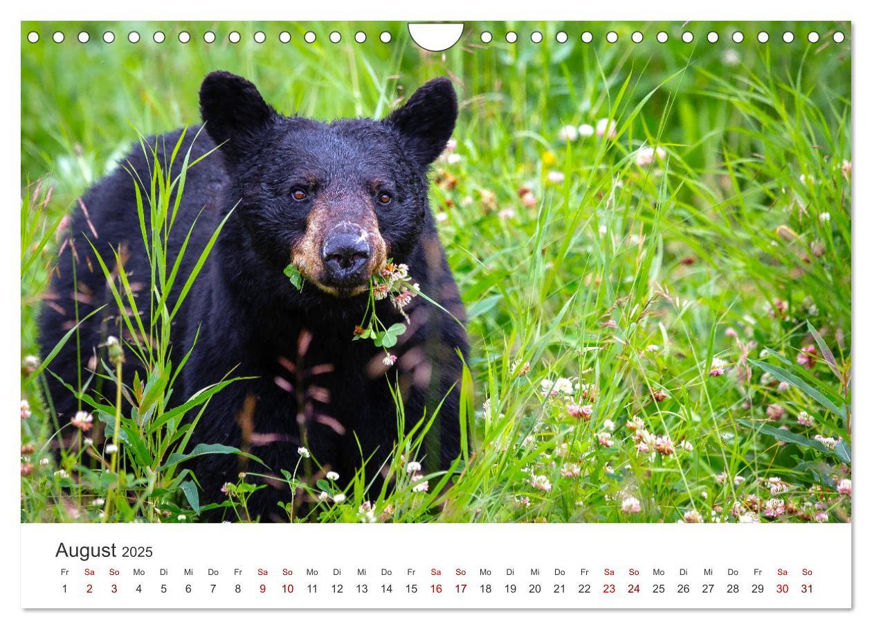 Bild: 9783383926501 | British Columbia - Faszination Kanada (Wandkalender 2025 DIN A4...