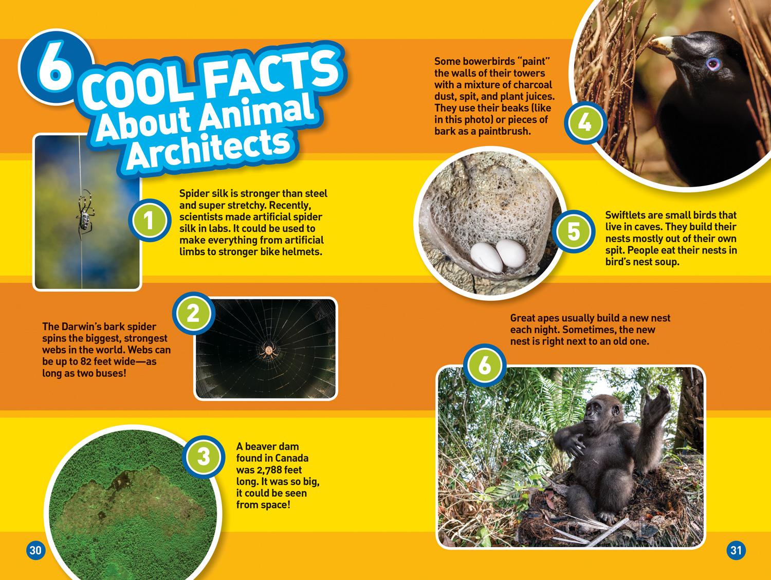 Bild: 9781426333279 | Animal Architects (National Geographic Kids Readers, Level 3) | Romero