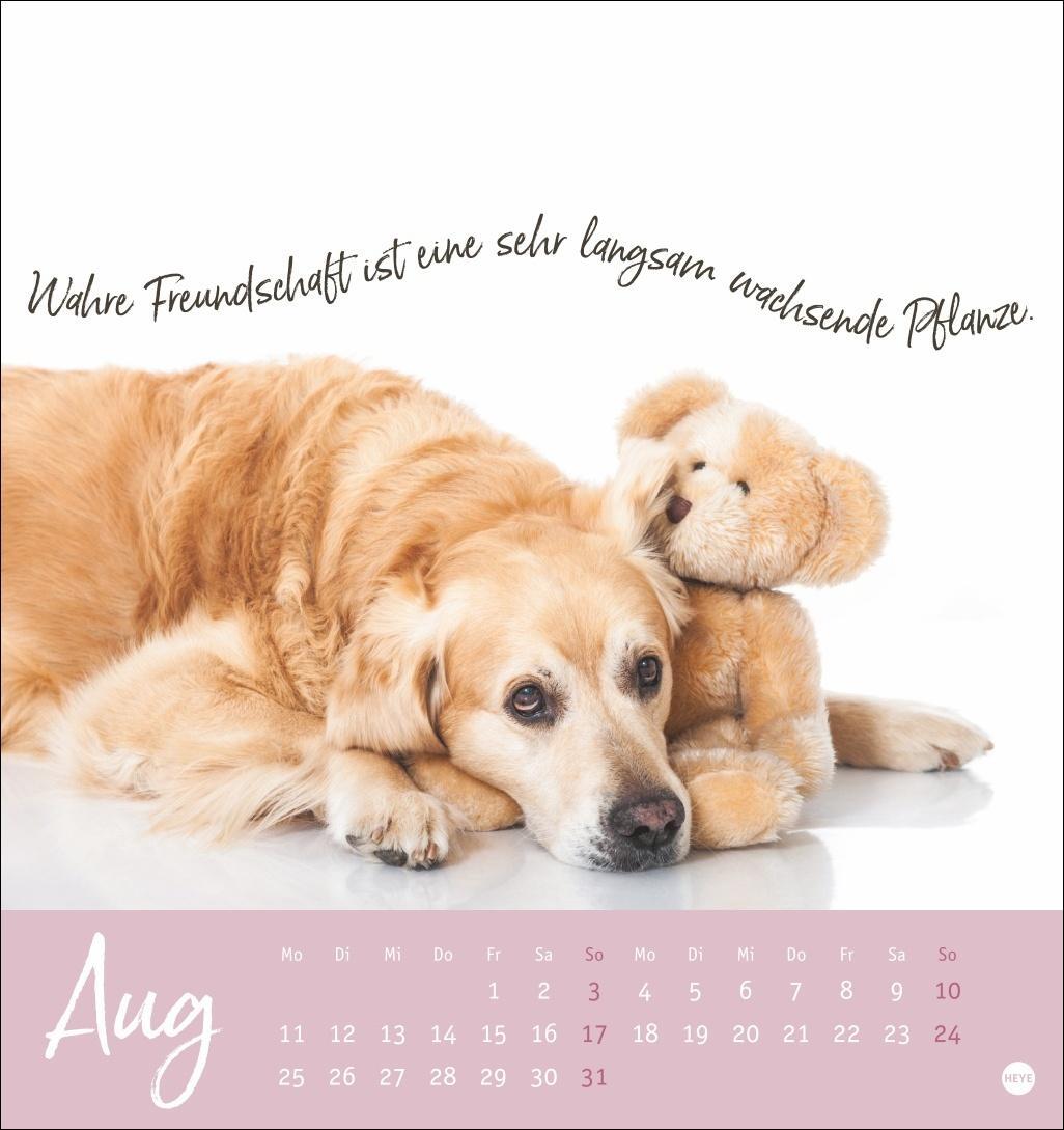 Bild: 9783756407064 | Ziemlich beste Freunde Postkartenkalender 2025 - Für immer dein | Heye