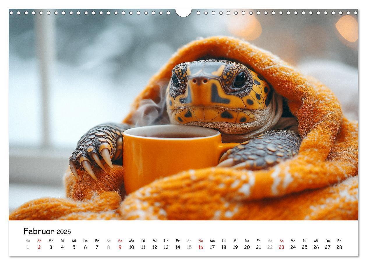 Bild: 9783457215814 | CHILL MAL - Entspannte Schildkröten beim Faulenzen (Wandkalender...