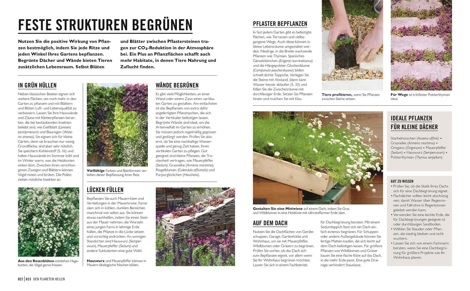 Bild: 9783831043910 | Grünes Gartenwissen. Ökologisch gärtnern | Zia Allaway | Taschenbuch