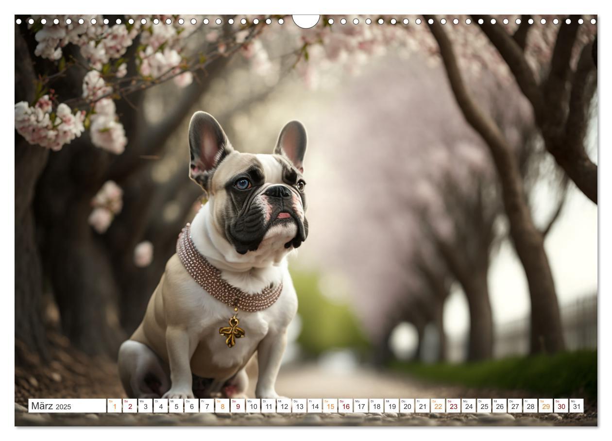 Bild: 9783383908293 | Französische Bulldoggen (Wandkalender 2025 DIN A3 quer), CALVENDO...