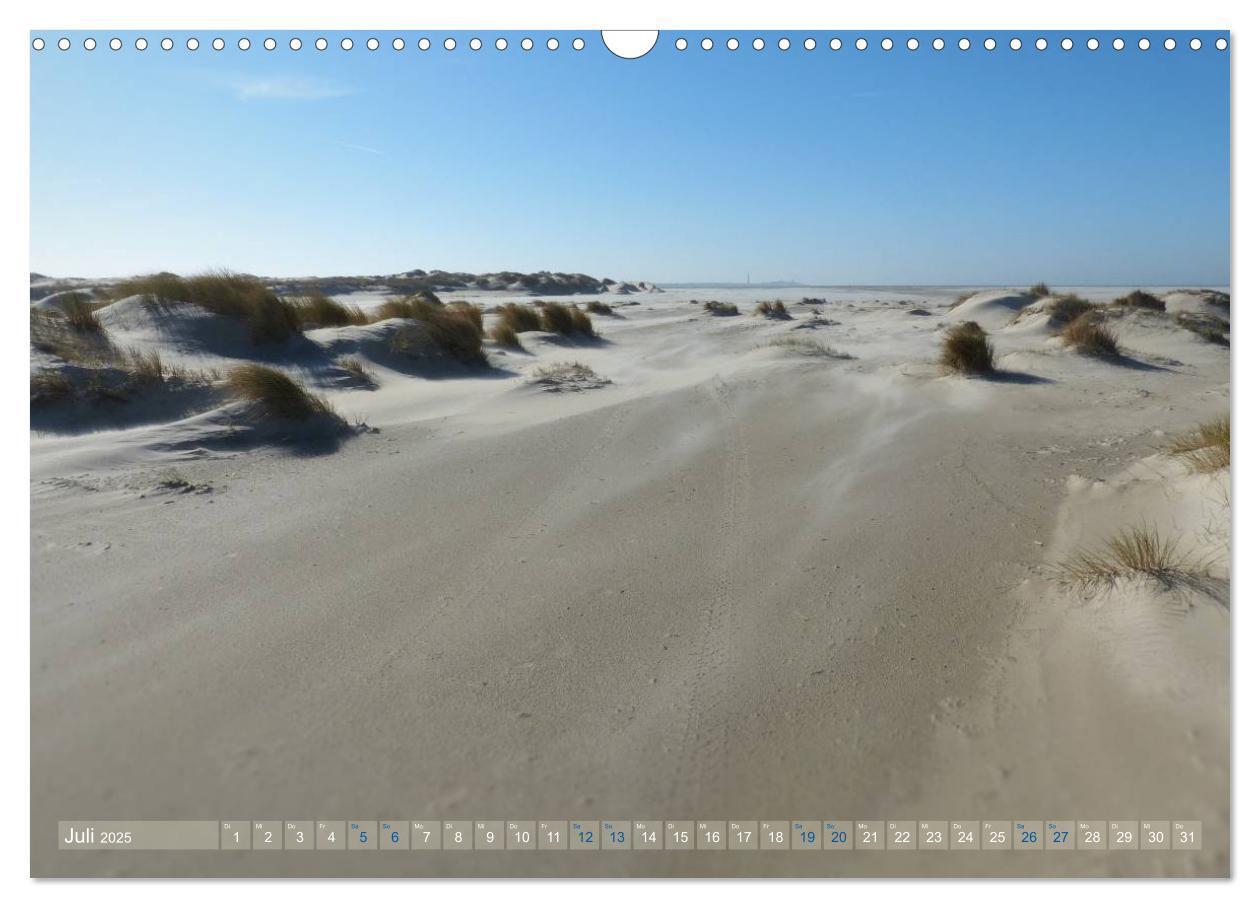 Bild: 9783435660780 | Texel. Neue Dünen (Wandkalender 2025 DIN A3 quer), CALVENDO...