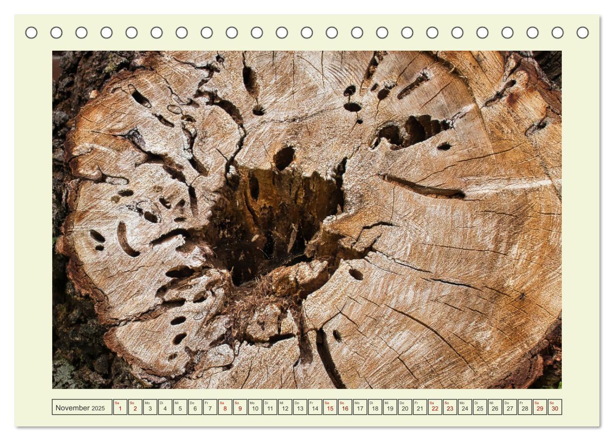 Bild: 9783435032372 | Einfach Holz (Tischkalender 2025 DIN A5 quer), CALVENDO Monatskalender