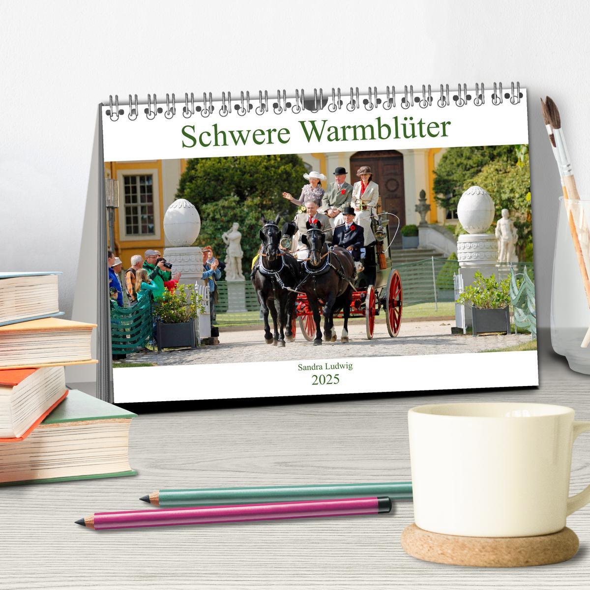 Bild: 9783435394296 | Schwere Warmblüter 2025 (Tischkalender 2025 DIN A5 quer), CALVENDO...