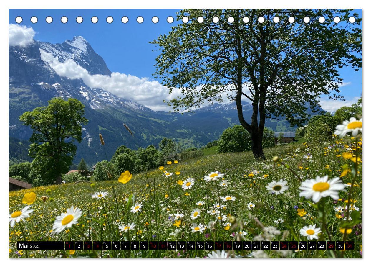 Bild: 9783383886775 | Grindelwald - Jungfrauregion Schweiz (Tischkalender 2025 DIN A5...