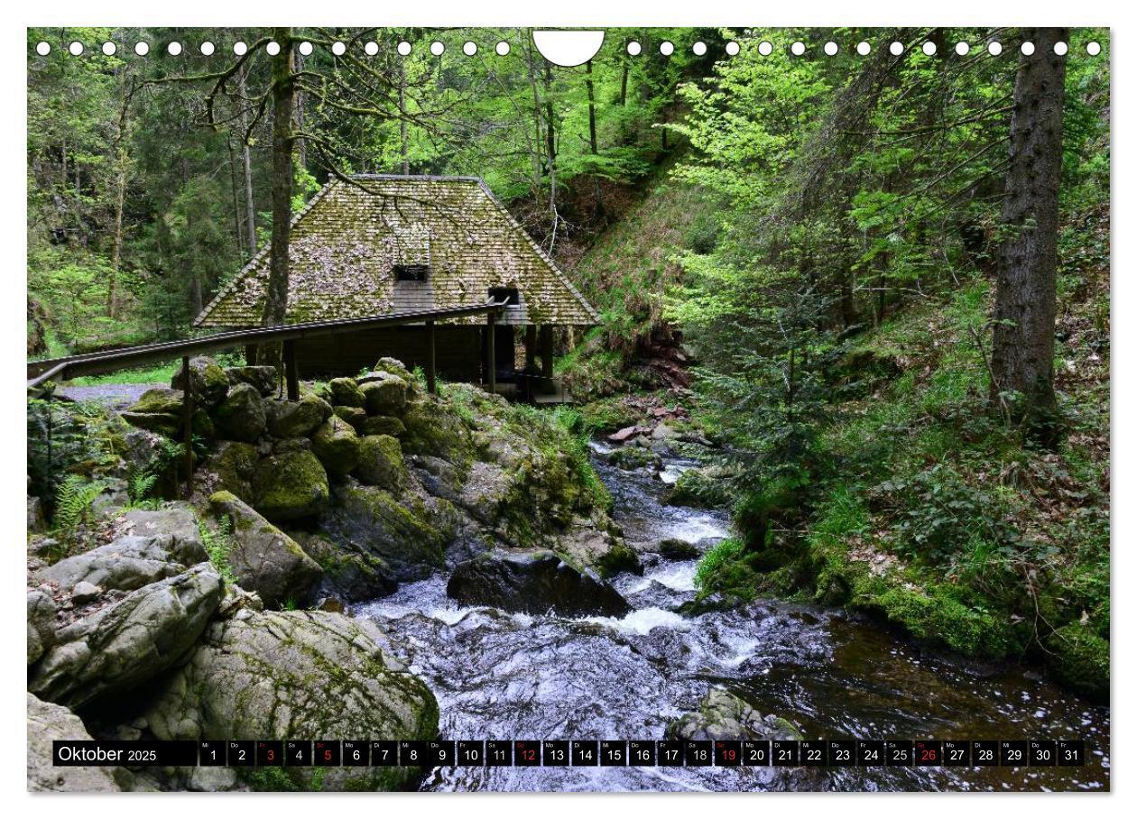 Bild: 9783435676132 | Romantischer Schwarzwald (Wandkalender 2025 DIN A4 quer), CALVENDO...