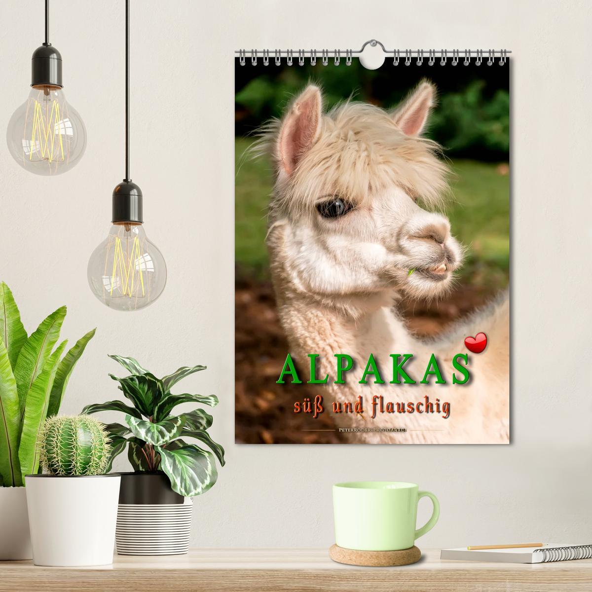 Bild: 9783435969296 | Alpakas - süß und flauschig (Wandkalender 2025 DIN A4 hoch),...