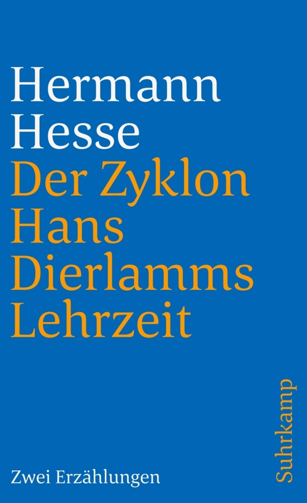 Cover: 9783518378779 | Der Zyklon und Hans Dierlamms Lehrzeit | Hermann Hesse | Taschenbuch