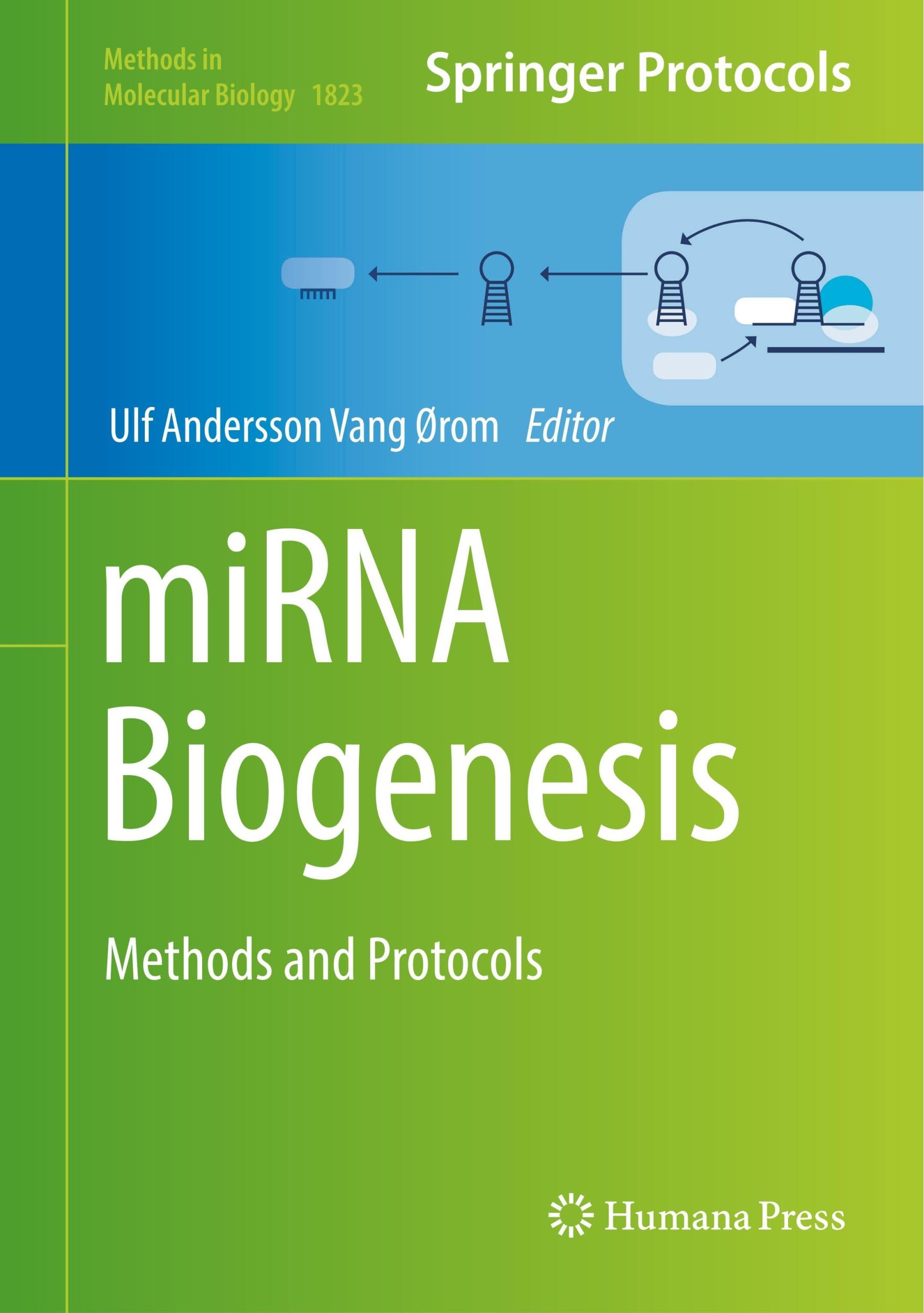 Cover: 9781493986231 | miRNA Biogenesis | Methods and Protocols | Ulf Andersson Vang Ørom