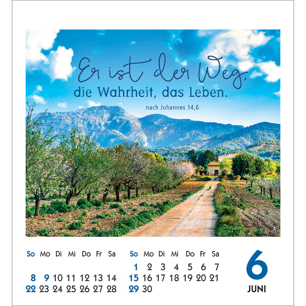 Bild: 9783754890257 | Frei sein &amp; leben 2025 | Aufkleber-Kalender | Kalender | 14 S. | 2025