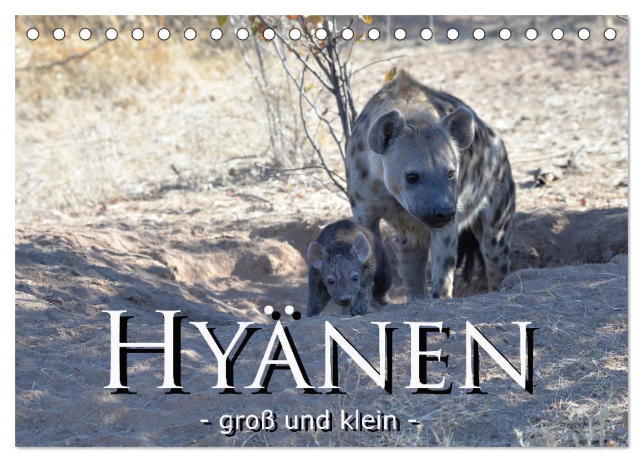 Cover: 9783435359523 | Hyänen - groß und klein (Tischkalender 2025 DIN A5 quer), CALVENDO...