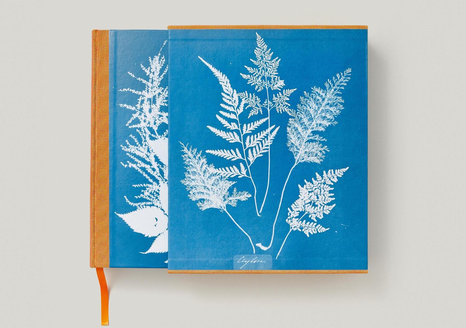 Bild: 9783836596039 | Anna Atkins. Cyanotypes | Peter Walther | Buch | Schuber | 660 S.