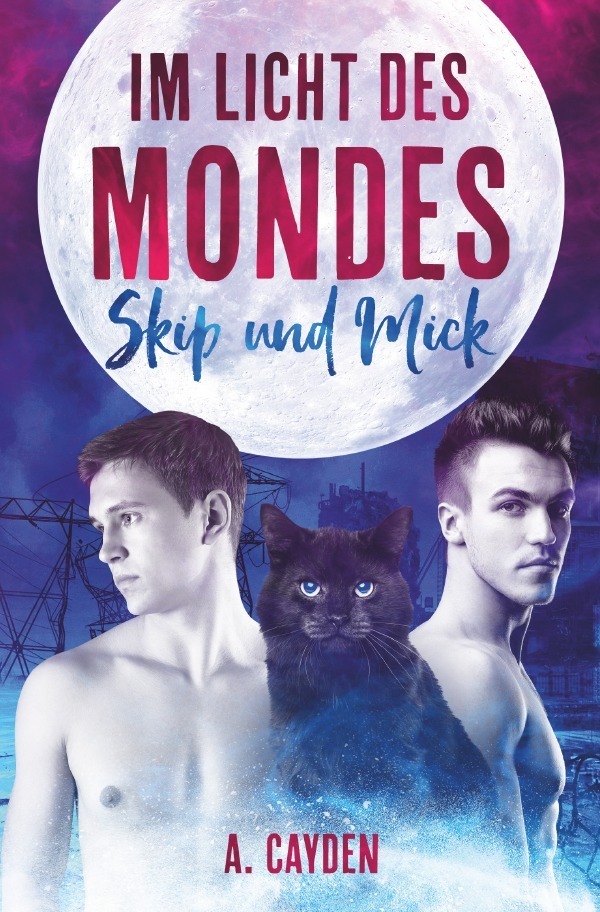 Cover: 9783745097481 | Im Licht des Mondes | Skip und Mick | A. Cayden | Taschenbuch | 436 S.