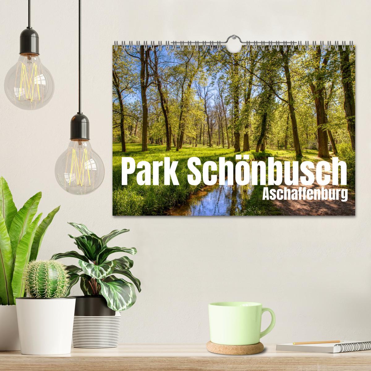 Bild: 9783383971464 | Park Schönbusch Aschaffenburg (Wandkalender 2025 DIN A4 quer),...